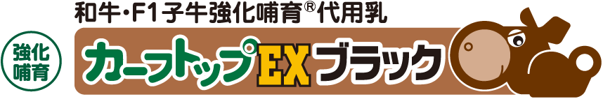 カーフトップEXブラック