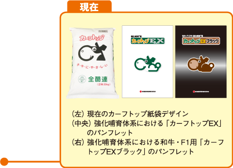 カーフトップ50年のあゆみ 現在