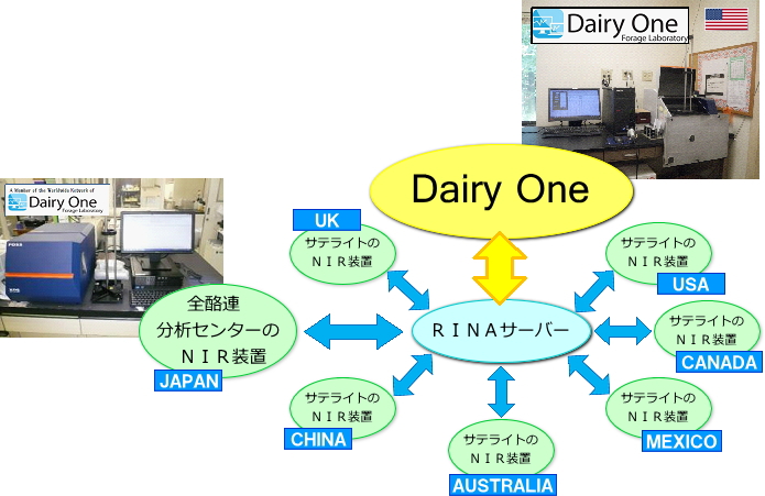 Dairy One