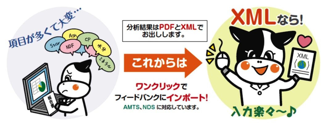 分析結果はＰＤＦ と ＸＭＬファイル形式